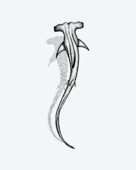 Hammerhead 3 semi-permanent tattoo design by INKY – Shark, Dots, Dotwork, Ocean illustration, 2 x 4 in (6x10 cm), available at inkytatt.com