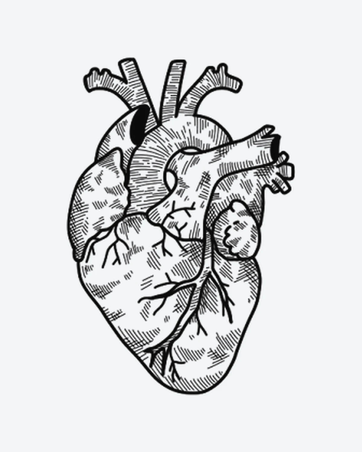 Heart Sketch semi-permanent tattoo design by INKY – Line Art, Heart, Cross illustration, 3 x 4 in (7x10 cm), available at inkytatt.com