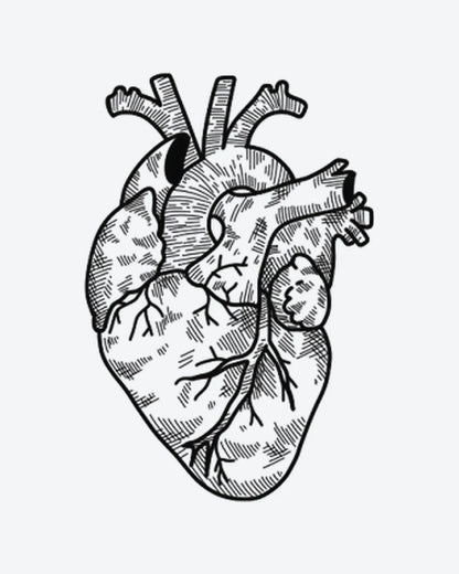 Heart Sketch semi-permanent tattoo design by INKY – Line Art, Heart, Cross illustration, 3 x 4 in (7x10 cm), available at inkytatt.com