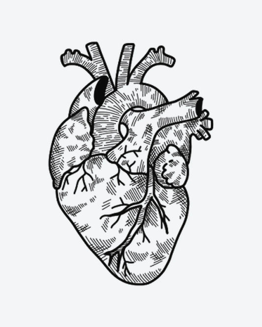 Heart Sketch semi-permanent tattoo design by INKY – Line Art, Heart, Cross illustration, 3 x 4 in (7x10 cm), available at inkytatt.com