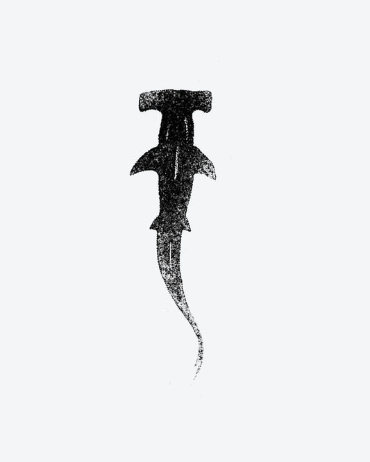 Hammerhead semi-permanent tattoo design by INKY – Shark illustration, 2 x 4 in (6x10 cm), available at inkytatt.com