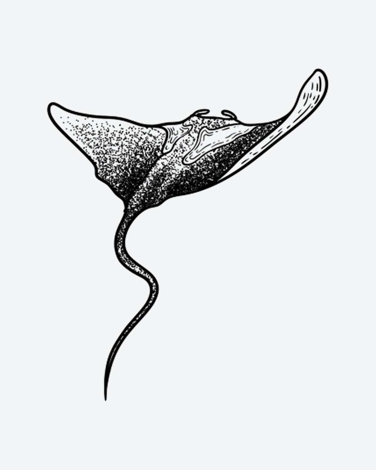 Manta Ray semi-permanent tattoo design by INKY – Dotwork illustration, 3 x 4 in (7x10 cm), available at inkytatt.com