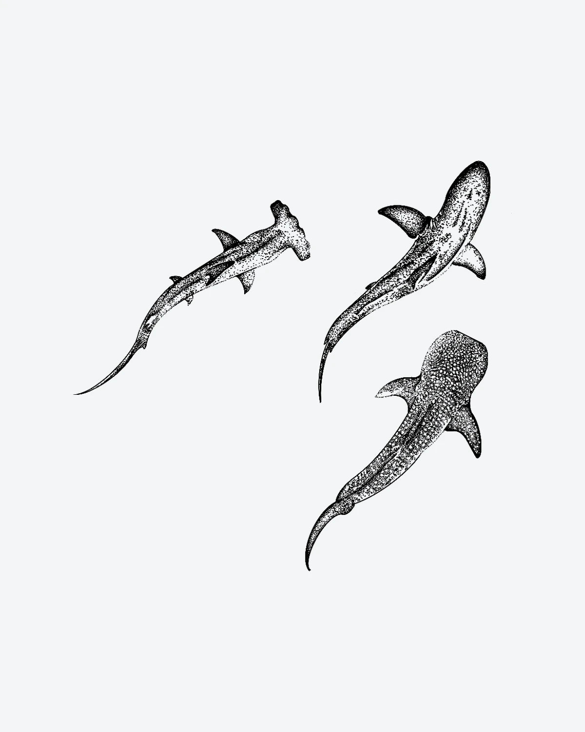 Shark Trio semi-permanent tattoo design by INKY – Fine Line, Whale, Shark, Dotwork, Ocean illustration, 3 x 3 in (7x7 cm), available at inkytatt.com