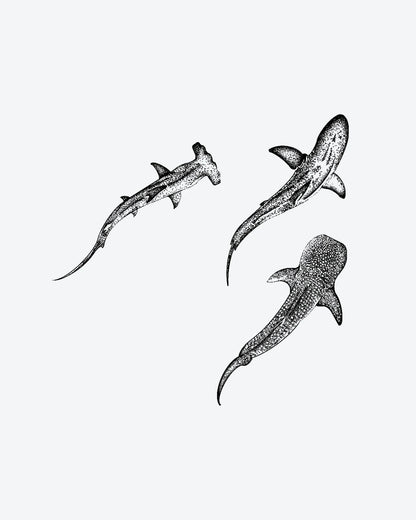 Shark Trio semi-permanent tattoo design by INKY – Fine Line, Whale, Shark, Dotwork, Ocean illustration, 3 x 3 in (7x7 cm), available at inkytatt.com