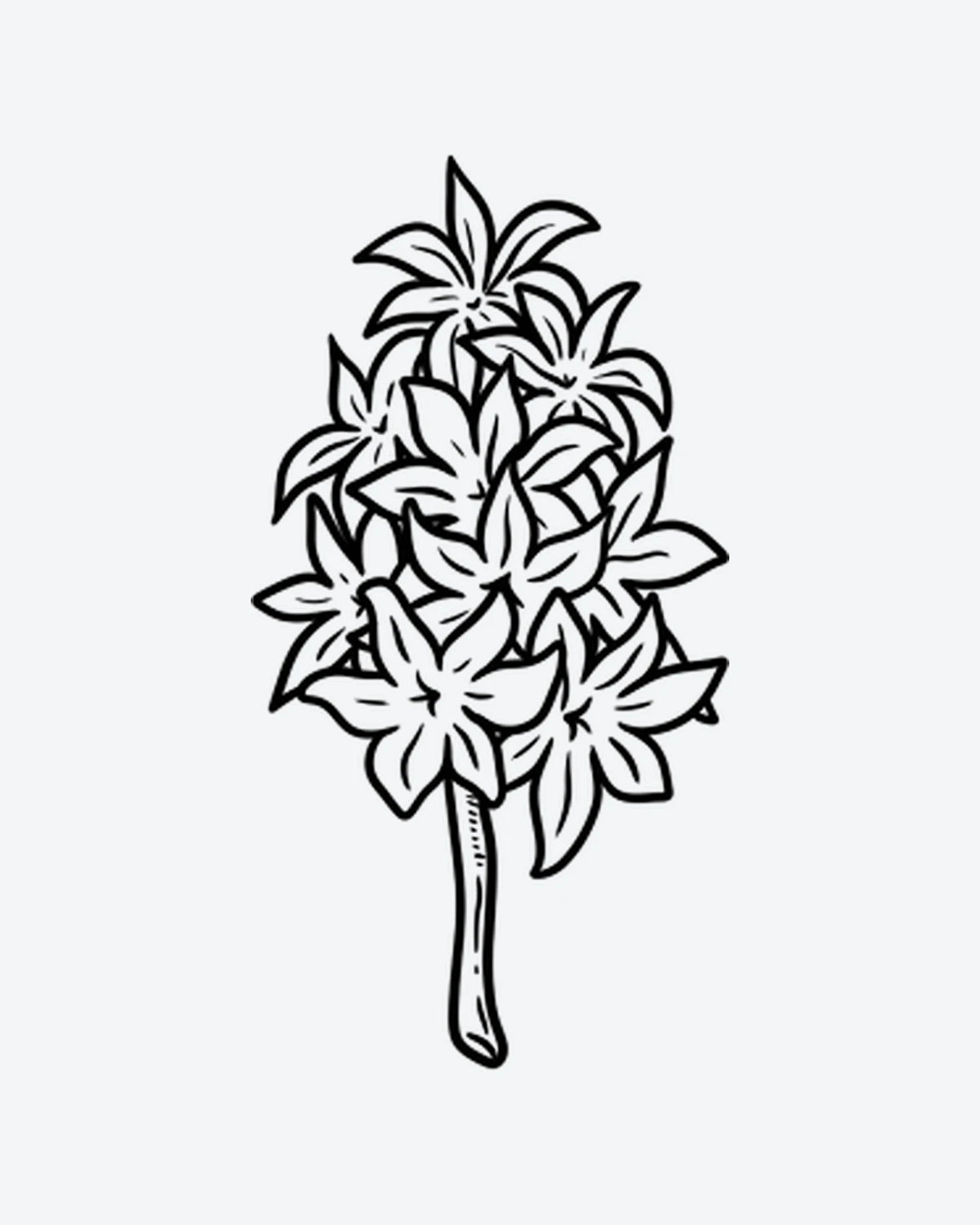 Hyacinth semi-permanent tattoo design by INKY – Line Art, Flower, Stem illustration, 2 x 2 in (4x4 cm), available at inkytatt.com