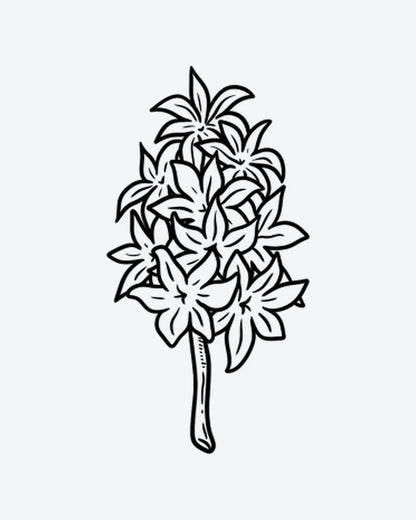 Hyacinth semi-permanent tattoo design by INKY – Line Art, Flower, Stem illustration, 2 x 2 in (4x4 cm), available at inkytatt.com