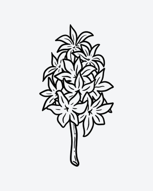 Hyacinth semi-permanent tattoo design by INKY – Line Art, Flower, Stem illustration, 2 x 2 in (4x4 cm), available at inkytatt.com