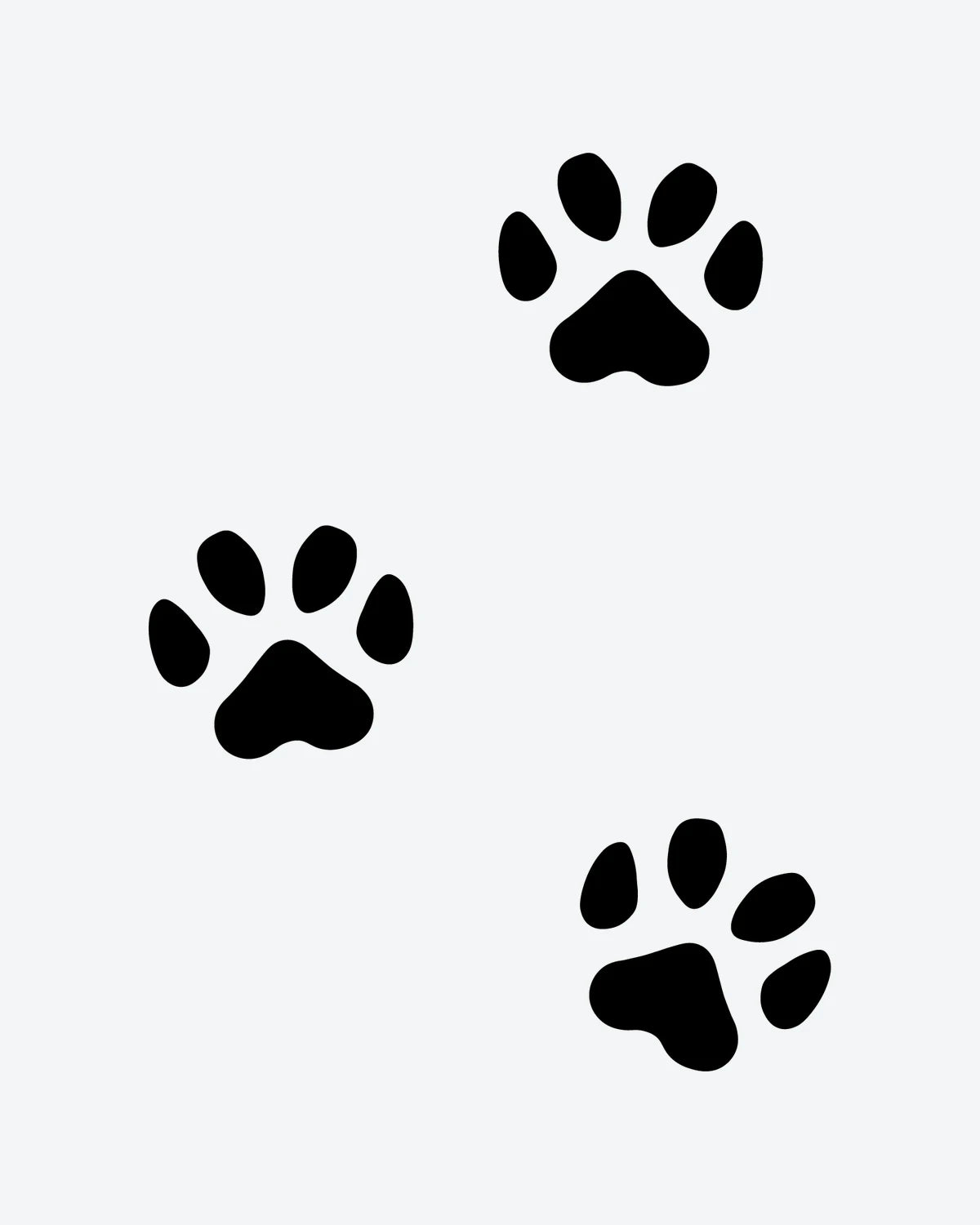 Paw Prints semi-permanent tattoo design by INKY – Paw illustration, 2 x 2 in (4x4 cm), available at inkytatt.com