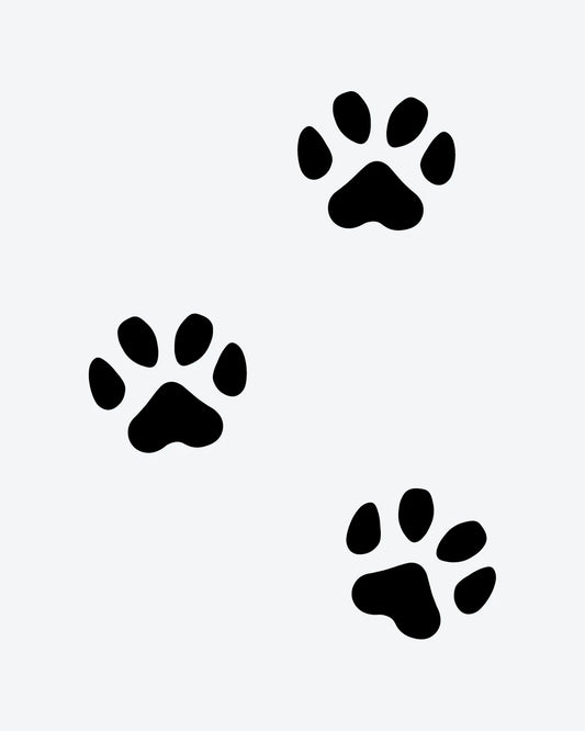 Paw Prints semi-permanent tattoo design by INKY – Paw illustration, 2 x 2 in (4x4 cm), available at inkytatt.com