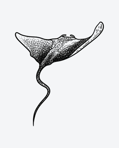 Manta Ray 2 semi-permanent tattoo design by INKY – Dotwork illustration, 4 x 7 in (10x17 cm), available at inkytatt.com