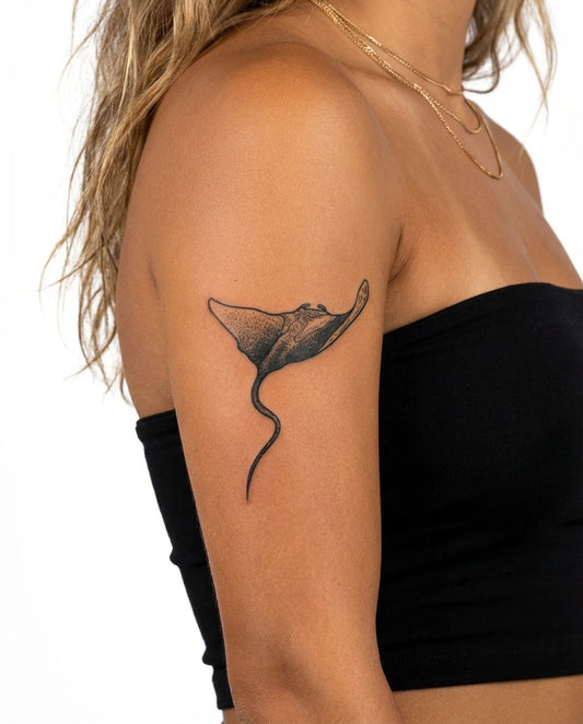 Manta Ray